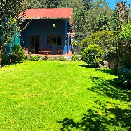 Alojamiento Tipo Cabana, Rodeado De Bosque