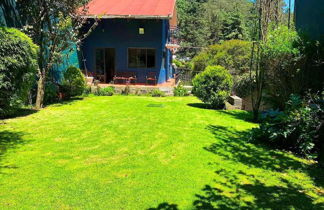 Alojamiento Tipo Cabana, Rodeado De Bosque