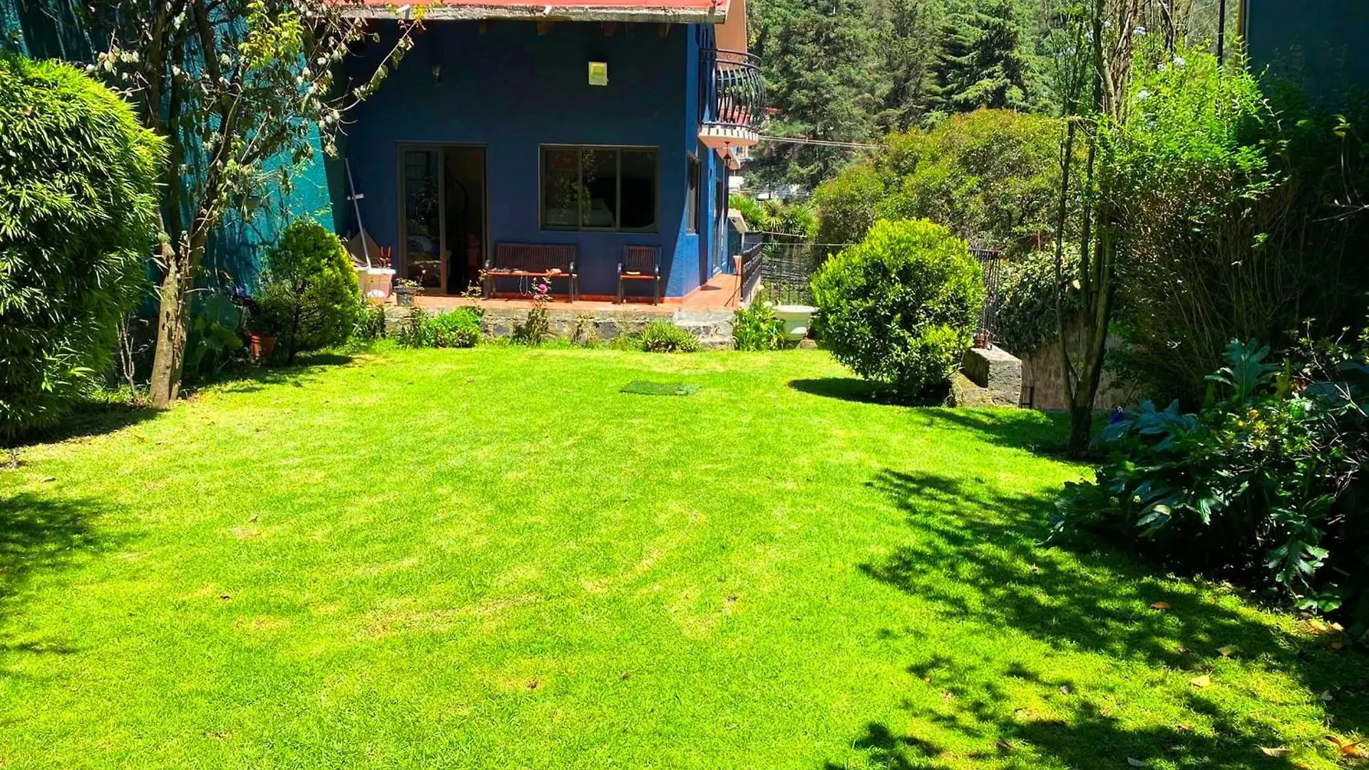Tipo Cabana, Rodeado De Bosque *