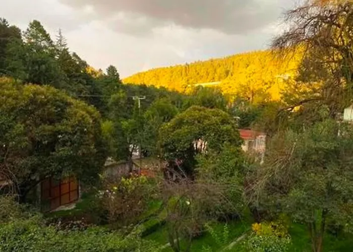 Tipo Cabana, Rodeado De Bosque Mexico City