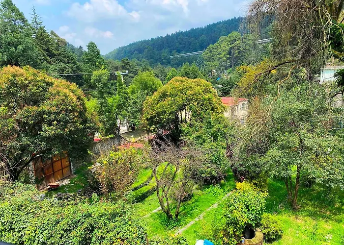 Tipo Cabana, Rodeado De Bosque Campsite