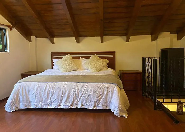 Tipo Cabana, Rodeado De Bosque