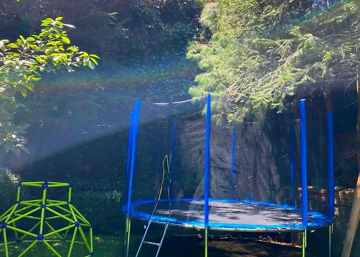 Camping Tipo Cabaña, Rodeado De Bosque