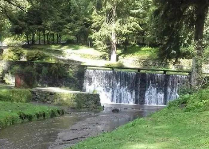 Tipo Cabana, Rodeado De Bosque *