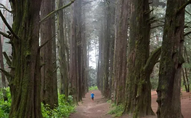 Tipo Cabana, Rodeado De Bosque